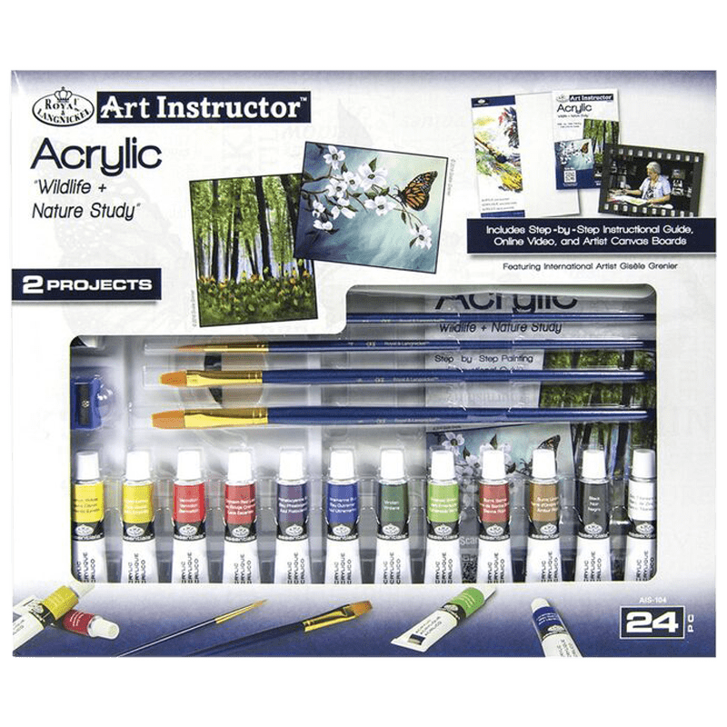 Set acrilic cu instructor de artă - set 24 buc